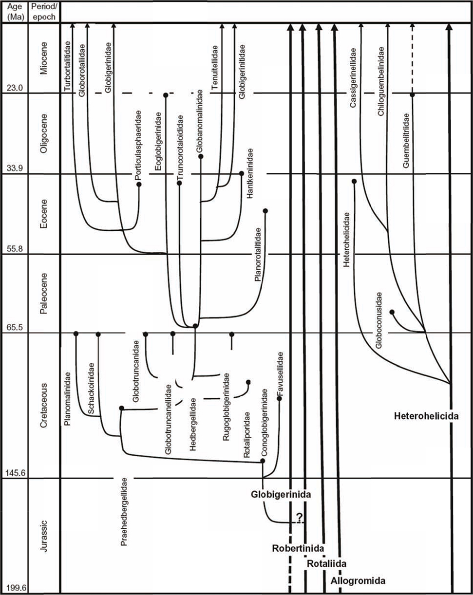 Biostratigraphic And Geological Significance Of Planktonic - 